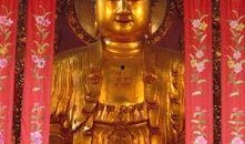 大佛最新爆料消息新闻内容,揭秘娱乐圈惊人内幕