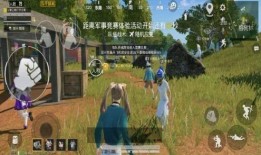 吃鸡珍藏宝箱最新爆料,最新爆料带你领略游戏魅力