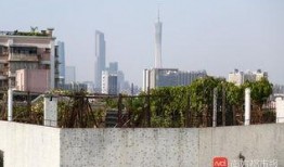 浙江天台爆料案件最新,真相揭开，疑云散去，正义终至