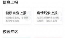 今日深圳最新爆料,科技巨头新动向，未来城市生活大揭秘！